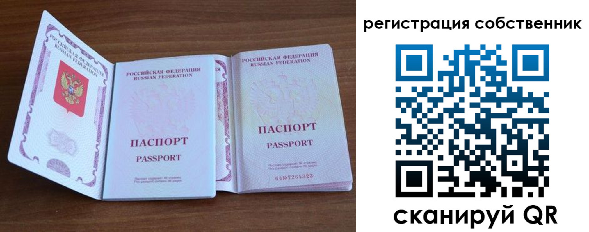 где прописаться в Волгоградской области